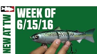 What's New At Tackle Warehouse 6/15/16