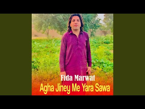 Agha Jiney Me Yara Sawa