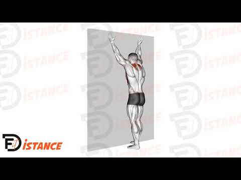 Spider Crawls - Exercice Spider Crawls en vidéo Spider Crawls - Exercice Spider Crawls en vidéo