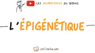 Vignette de [VIDÉO] L'ÉPIGÉNÉTIQUE - Les neurosciences en dessins