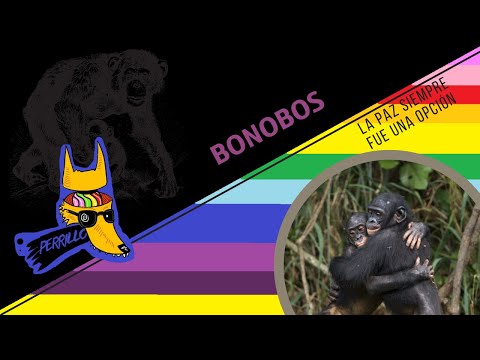 Bonobos: The Most Evolved Primate | Ep 80 | Fanged Culture