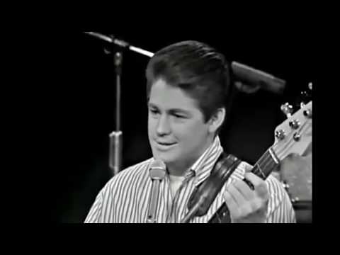 Surfer Girl -  The Beach Boys (1964 Remastered)