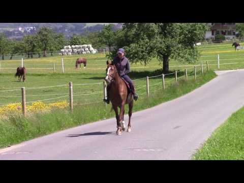 2017 05 21 Lawica Strasse Schritt