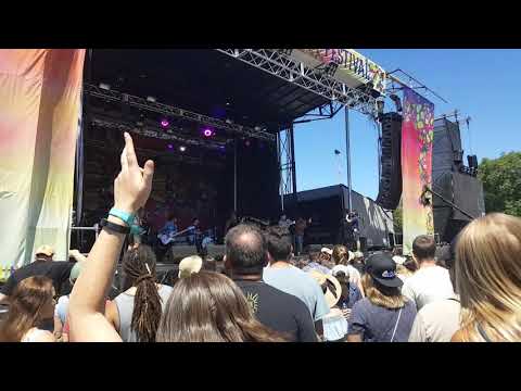 The Suffers - Shout!