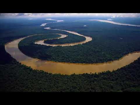 De tropiske regnskove - af Frederik og Frode