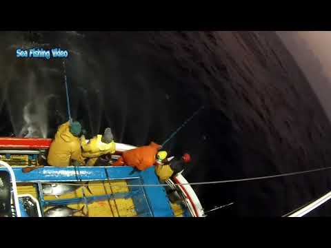 Amazing Fastest Giant Bluefin Tuna and Swordfish Fishing skill   Most Satisfying Sea Fishing Videos4