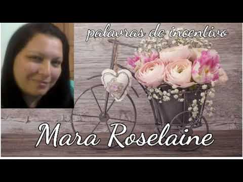 Felicidade é consciência tranquila.