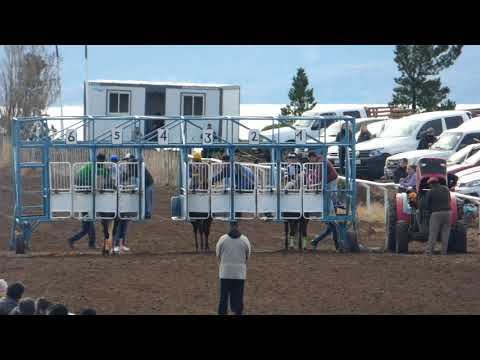 CHE SUREÑA-Los Antiguos-5/9/2021