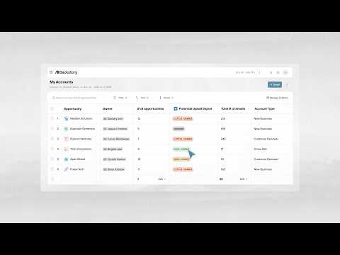 Backstory UI Demo - Account Strategy