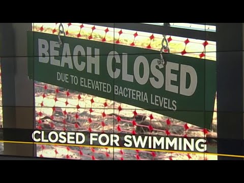 Beach at Dinky Dock closed to swimming