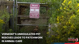 Vermont's unregulated pet rescue industry leads to patchwork in animal care