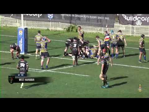 2024 2nd Grade Round 15 - West Harbour vs Sydney Uni - Highlights