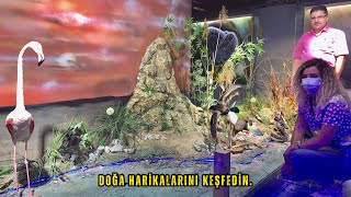 DOĞANIN DERİNLİKLERİNE MUHTEŞEM BİR YOLCULUK: AŞIKPAŞA TABİAR PARKINDA