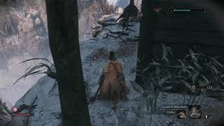 [問卦] 日本葦名七天六夜怎麼玩