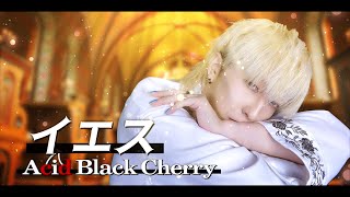 終始素敵で大興奮でしたが ここから特に全部好きです( ; _ ; )！！！聴けて嬉しいすぎる😭😭🙏 - 【歌ってみた】男が原キーで「イエス/Acid Black Cherry」を歌ってみた！ ver.白噛ましゅー