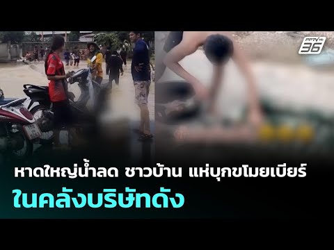 คลิกเพื่อดูคลิปวิดีโอ