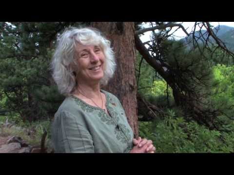 download lagu mp3 mp4 Types Of Willow, download lagu Types Of Willow gratis, unduh video klip Types Of Willow