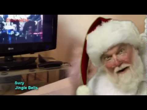 Jingle Bells (Av Av Song) by Suzy (Yorkshire Terrier)