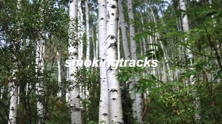 Bibio - Raincoat (Khüdósoul Remix)