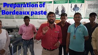 preview picture of video 'Preparation of bordeaux paste its concentration and its effective against insect pests and diseases'