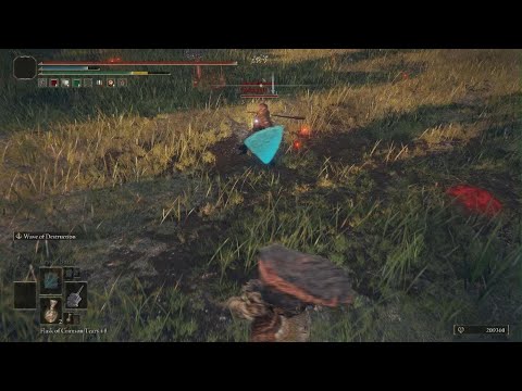 ELDEN RING_CRAZY BACK AND FORTH PVP