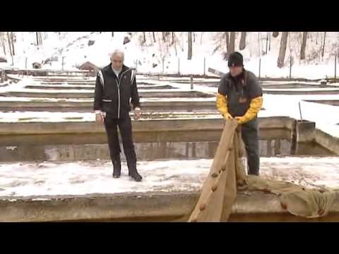 Die Empfehlung - der Tegernsee | Hin & Weg