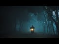 A Winter Morning Cinematic Bangladesh