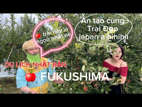 Du Lịch Nhật Bản ăn Táo Ở Fukushima Ngon Tuyệt #dulichnhatban #tuonglong