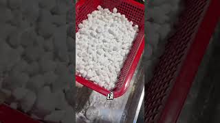 Download lagu Cách nấu thạch củ năng mp3