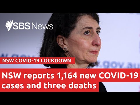 Watch live: NSW COVID-19 update | SBS News