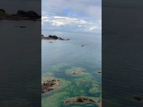 Beauty of Scotland 🏴󠁧󠁢󠁳󠁣󠁴󠁿 - Tantallon Castle