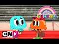 De Wonderlijke Wereld van Gumball | Sporttherapie | Cartoon Network
