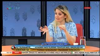 Veteriner Hekimim - Gözde Çetin Kasap & Prof. Dr. Erdal Matur - 18 Temmuz 2018 -