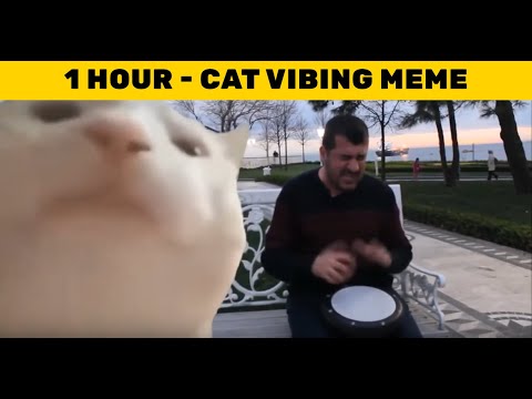 Cat Vibing To Ievan Polkka - 1 HOUR -  Cat Vibing Meme 😂 😂 😂