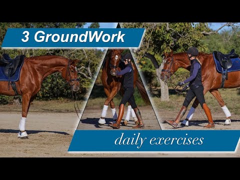 The three quick groundwork exercises WILL relax and focus your horse!
