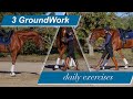 The Three Quick Groundwork Exercises WILL Relax And Focus Your Horse