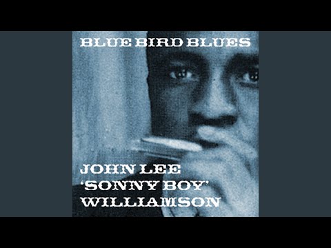 Collector Man Blues cover