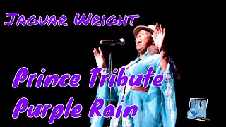 Jaguar Wright  Powerful live performance of "Purple Rain" Prince Tribute