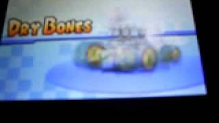 Mario Kart DS Unlockable Characters