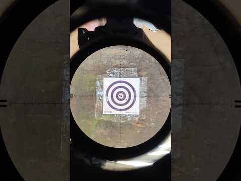 Luneta Discovery LHD 6-24x50 FFP Imagem do Retículo