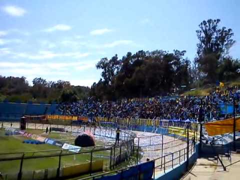 "LOS DEL CERRO EVERTON VS antofagasta salida." Barra: Los del Cerro &bull; Club: Everton de Viña del Mar