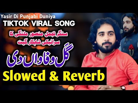 Gal Wafawan Di Koi Krenda Ha Ty Mein Ronda Han | Saraiki Sad Song | Slowed + Reverb | TikTok Viral