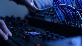 Moody Monday Synths with Virt Iter Legio + m303 ft. Octatrack