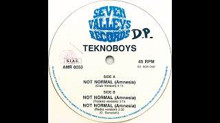 Teknoboys  • Not Normal (Amnesia) (Teckno Version) (1992)