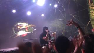 Mezzosangue - Wonderland (?)