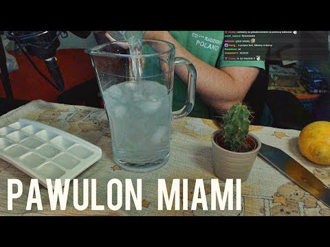 NAPÓJ STREAMERSKI - PAWULON MIAMI