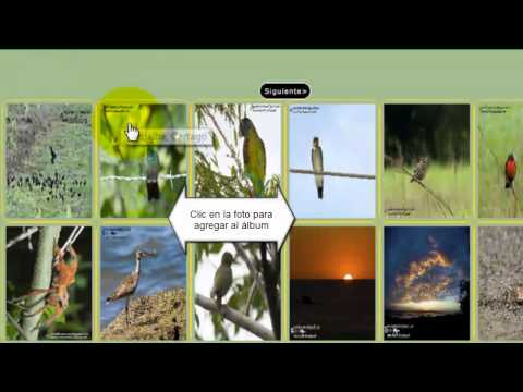 Como agregar un álbum