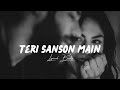 Teri Saanson Mein Aise Bus Jaaun Slowed And Reverb