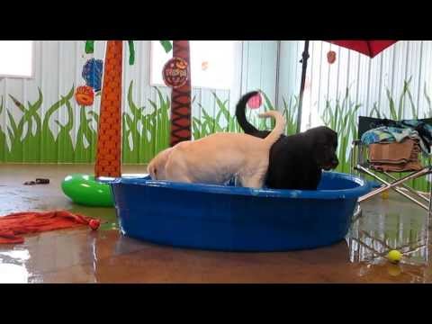 Jade and Na'il on Cancun Getaway