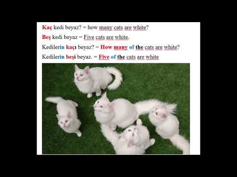 Kaç=How many,  Kaçıncı=asks ordinal number